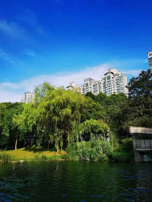 上海徐家汇公园水景分享