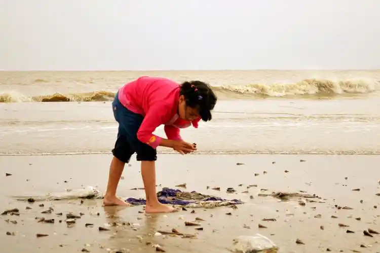 拾贝壳的小女孩