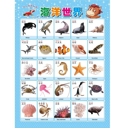 宝宝早教启蒙儿童益智幼儿识字玩具墙贴拼音玩具挂图