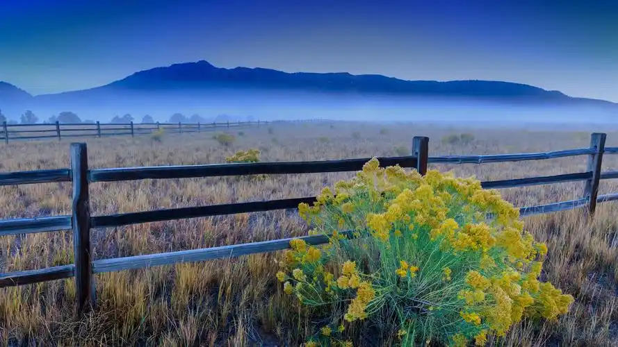 壁纸 围栏,花,草,云 3840x2160 uhd 4k 高清壁纸, 图片, 照片
