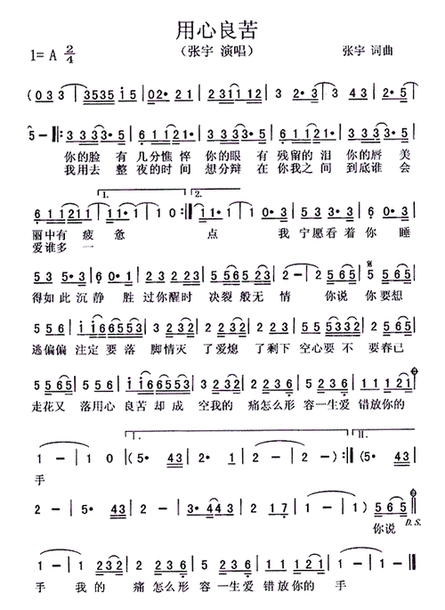 用心良苦 张宇 歌谱 简谱