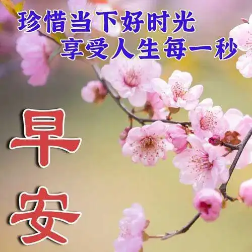 早安图片,好看的早上好图片问候语,精选早安暖心祝福图片带字带祝福语