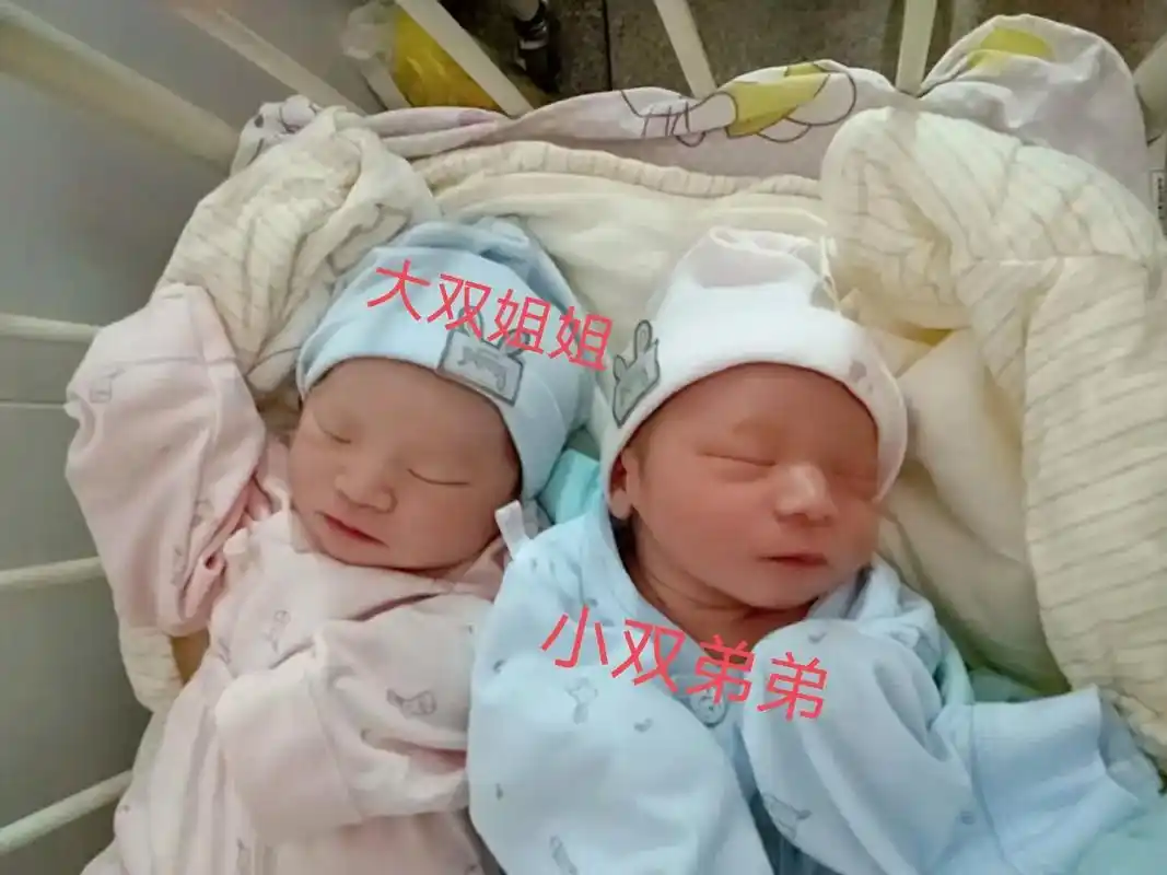 何其幸运一不小心生俩个娃又不小心还是龙凤胎喜欢吗