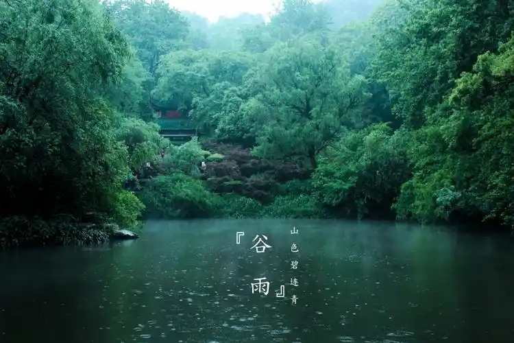 谷雨,二十四节气,树木,下雨天,自然风景,壁纸山色碧连青