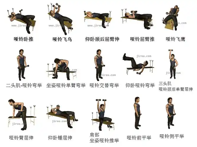 哑铃健身经典动作(动态详细图解).ppt
