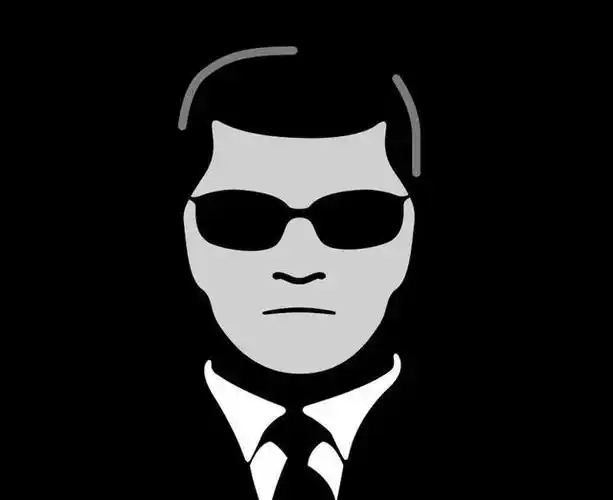 就在人类眼皮子下的神秘组织真实存在的黑衣人