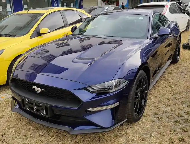 柯纳蓝野马mustang,11月5日更新.