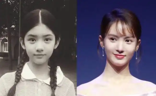 金晨鼻子又出问题了整容脸被强光一照便显原型看呆众人