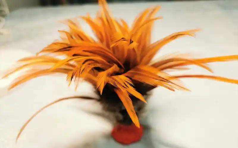 自制鸡毛毽子,踢毽子是童年的快乐