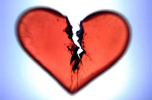 痴情人的伤心期限