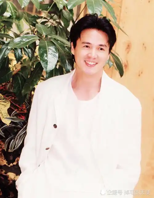 不是当年的刘德凯,而是和他一起出演《一帘幽梦》的林瑞阳.