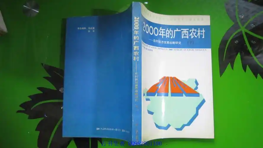 2000年的广西农村——农村经济发展战略研究 下册