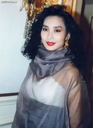 来自港台的60后女明星,她们个个美若天仙,你最喜欢哪一个?_手机搜狐网