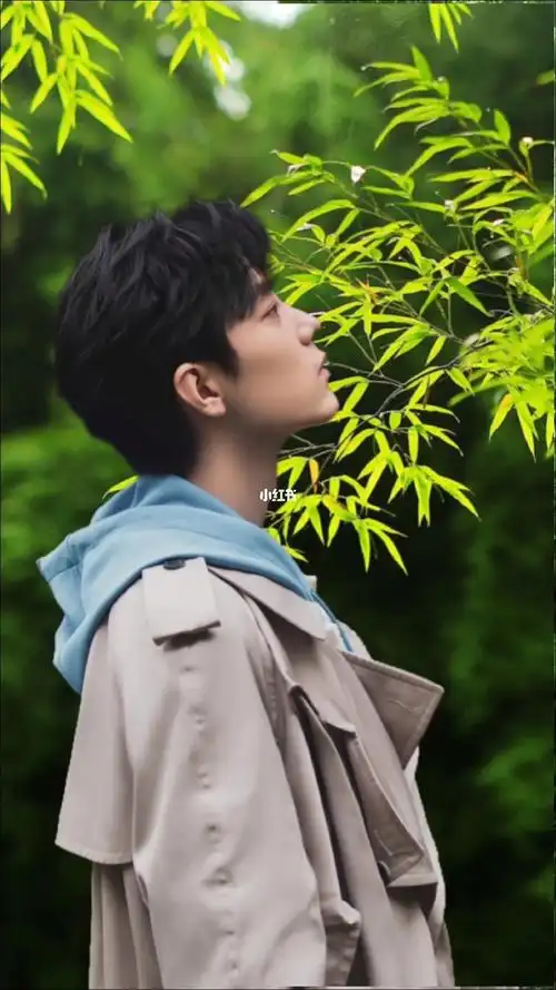 向全世界安利肖战