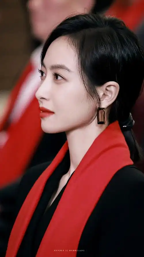 宋茜我们的翻译官