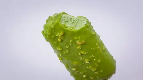 所有冰淇淋里,这个绿绿的最好吃?