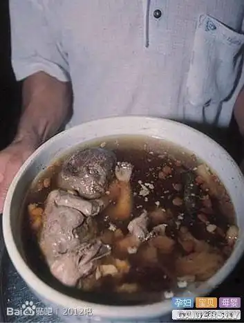 贝爷都不敢吃那些让吃货望而却步的美食大盘点