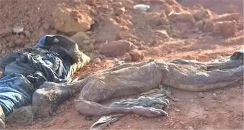 队挖出真正关羽墓,意外发现两具女尸,专家:不是妻室也不是貂蝉_刘备