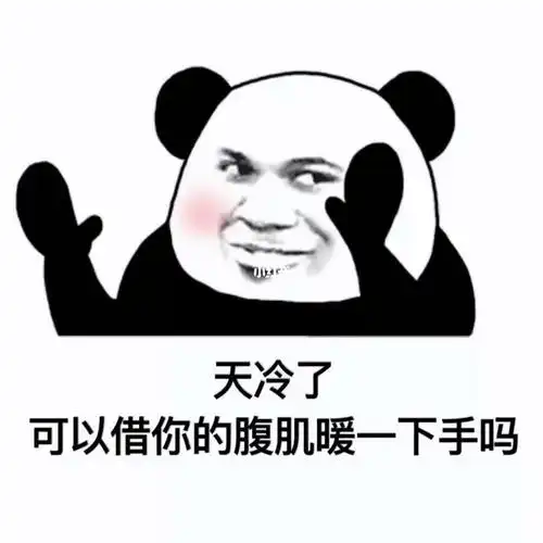 熊猫头表情包