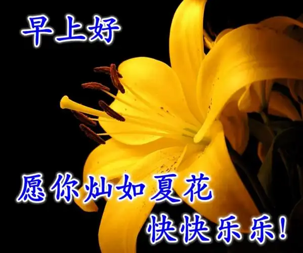 早上好,夏季早安祝福语鲜花图片大全,唯美早晨问候表情