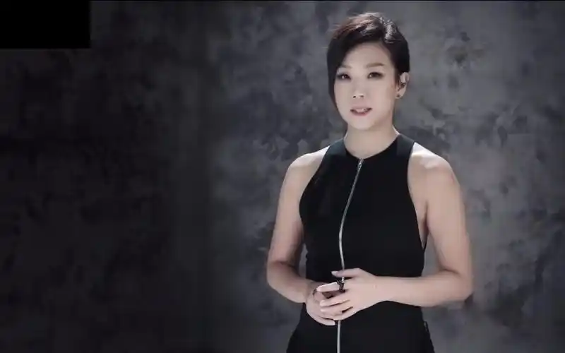 林忆莲的远走高飞的歌词想表达的是什么意思?