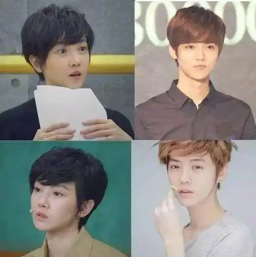 车晓撞脸王珞丹娱乐圈还有人接连撞脸俩明星连保镖都认错