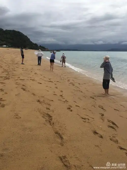 新西兰尼尔森八日自驾游(4).