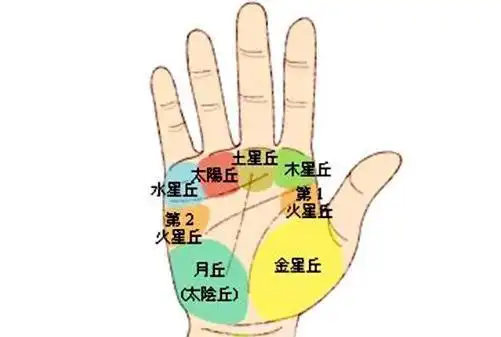 手相神秘的月丘,智慧和理想的来源