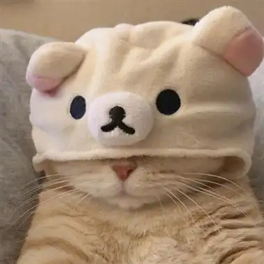 qq猫咪头像萌萌系图片(优选22张)