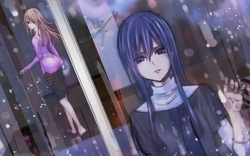 【橘里橘气】芽柚一生推