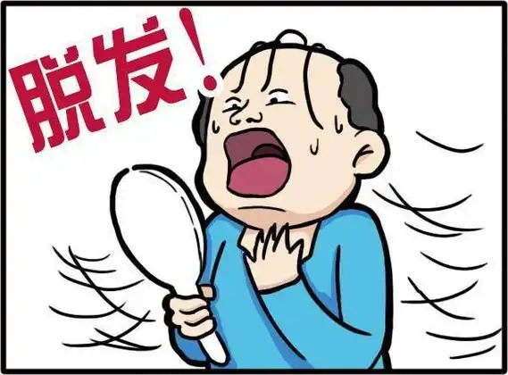 所以,脱发真的是熬夜的锅吗?到底能不能一起愉快地熬夜了?