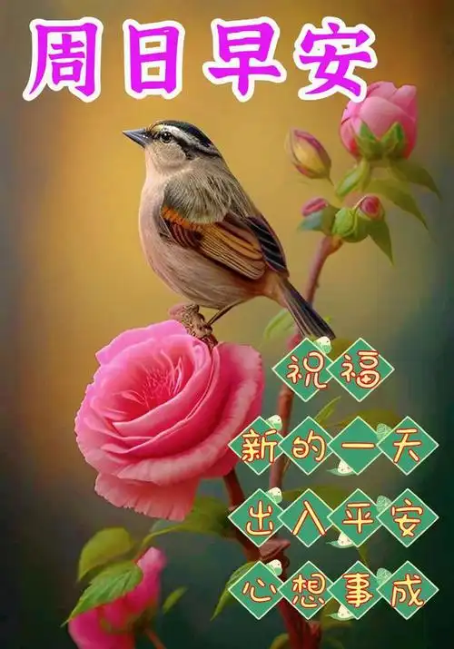 中午好图片大全中午好问候中午好温馨祝福语