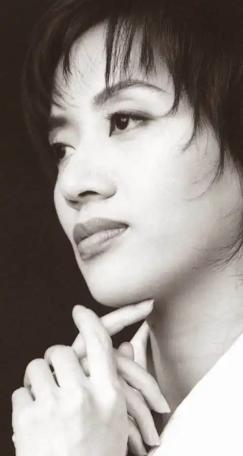 梅艳芳侠义芳华时代绝唱