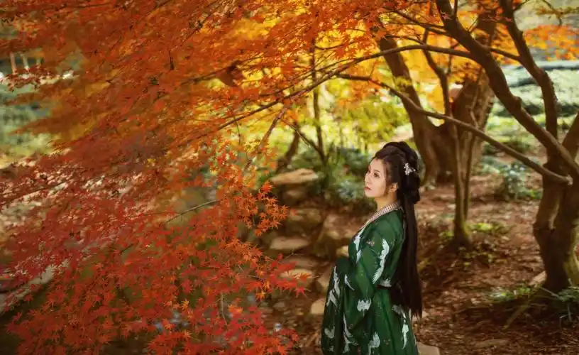 你看杭州九溪的枫叶红了