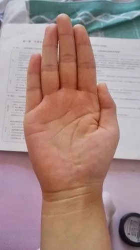 好像说我有反抗线～～～主要看事业和感情啦