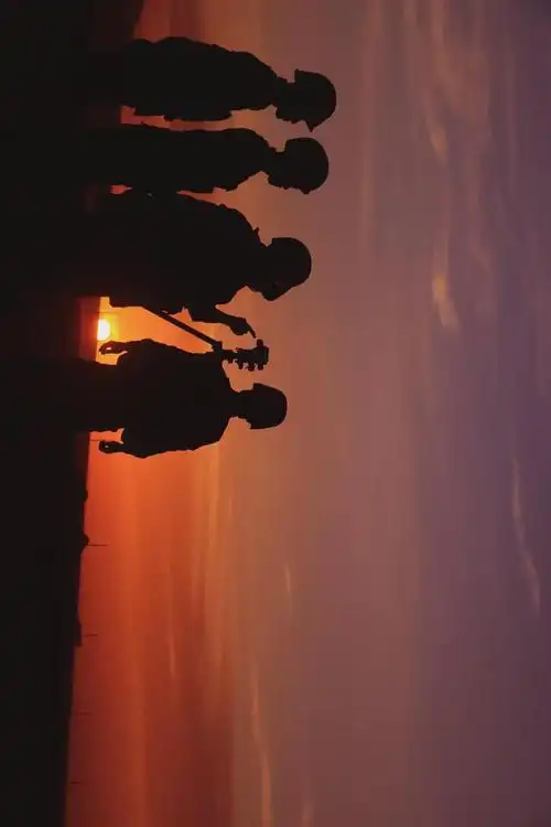 壁纸来了这是军人的剪影