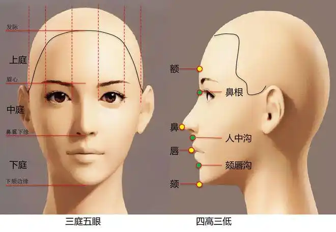 本质还是要落到脸部器官的比例分布,也就是我们俗称的三庭五眼,四高三