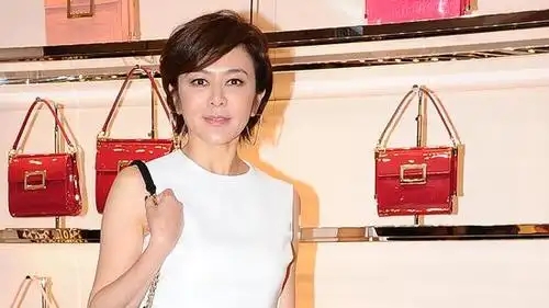 关之琳钟楚红没兴趣复出 不想上真人秀