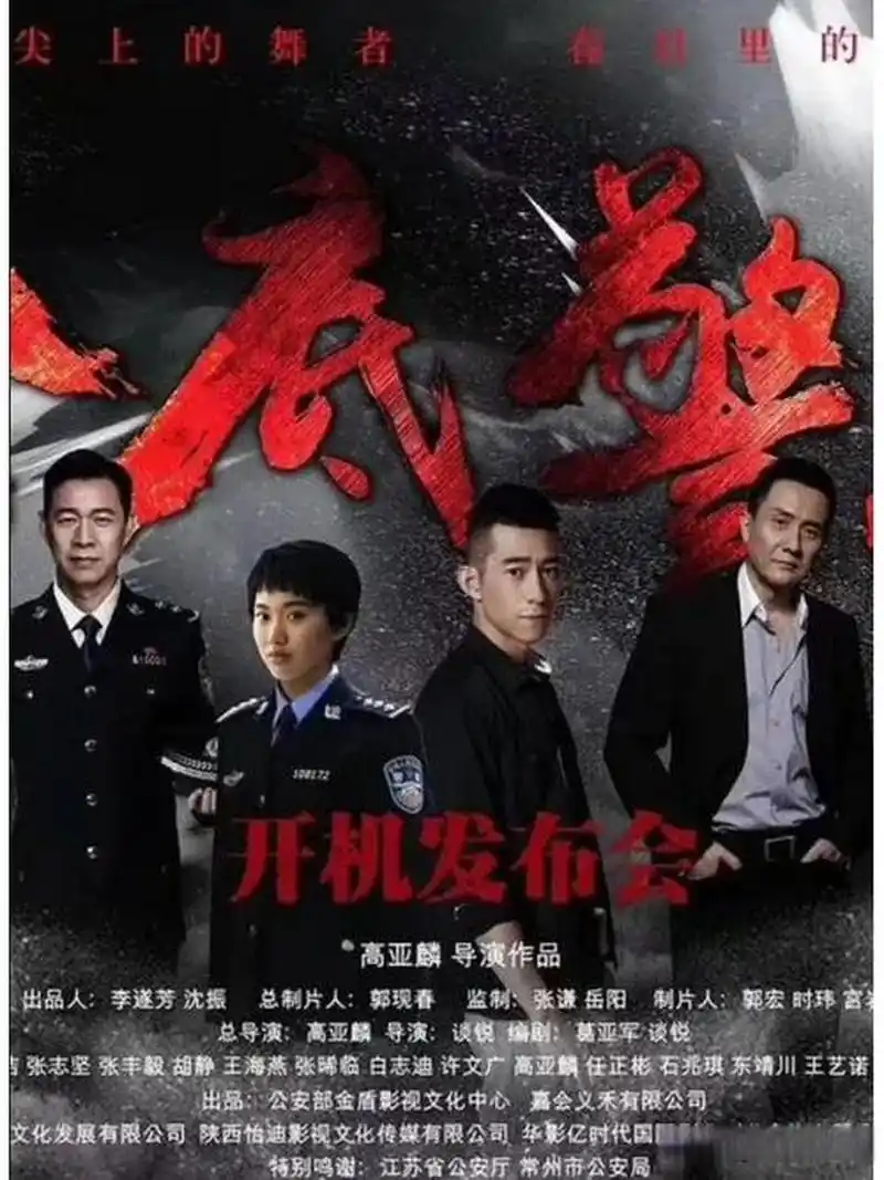 《卧底警花》这部电视剧,感觉有点奇怪,其他演员演技都在线,除了俩