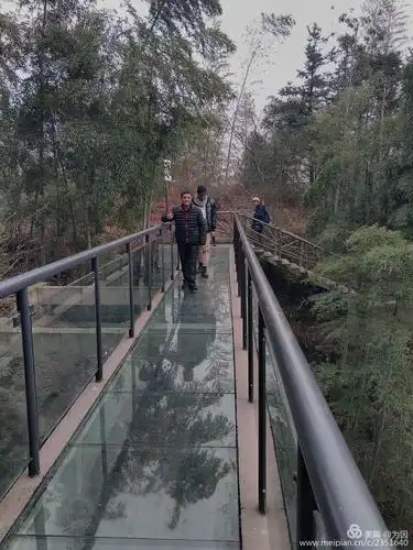 20190119泡汤—裘岙玻璃栈道篇