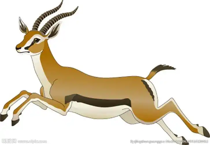 分×关 键 词:羚羊 羚羊剪影 大角羚羊 西藏羚羊 奔跑的羚羊 卡通羚羊