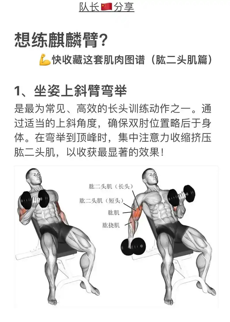 炸裂你肱二头肌的5个训练动作.助你练出麒麟臂,赶快收藏起来吧 - 抖音