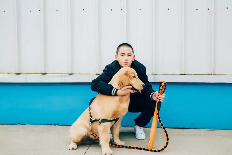 胡先煦-图集-艺人-光线易视