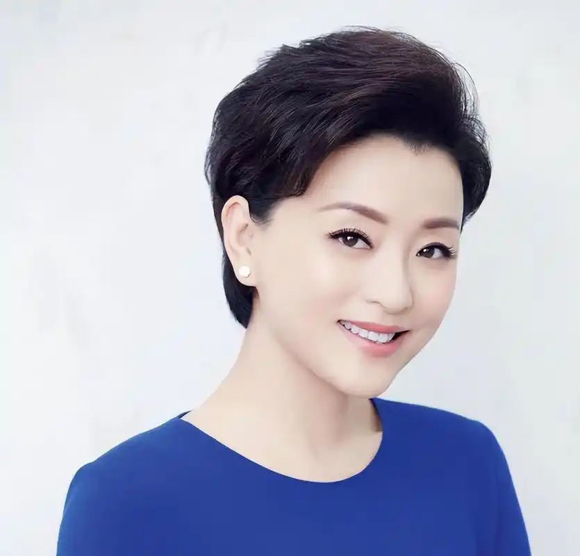 杨澜,首届央视主持人"金话筒"奖得主,离开央视后远赴美国,爱上身价