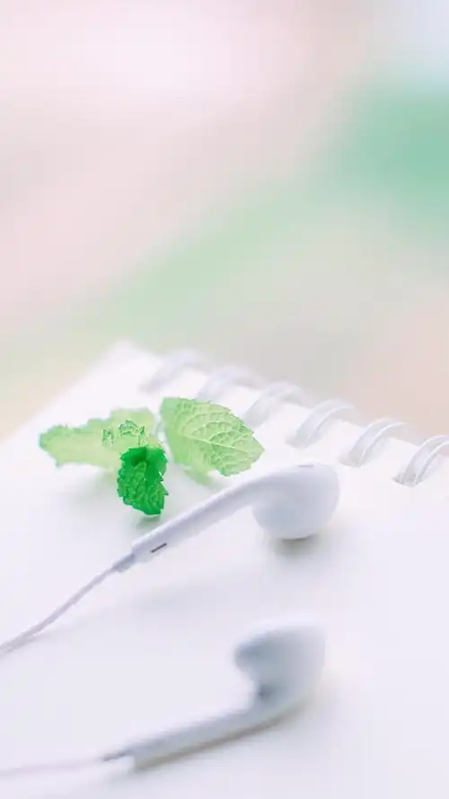 文艺小清新高清唯美图片