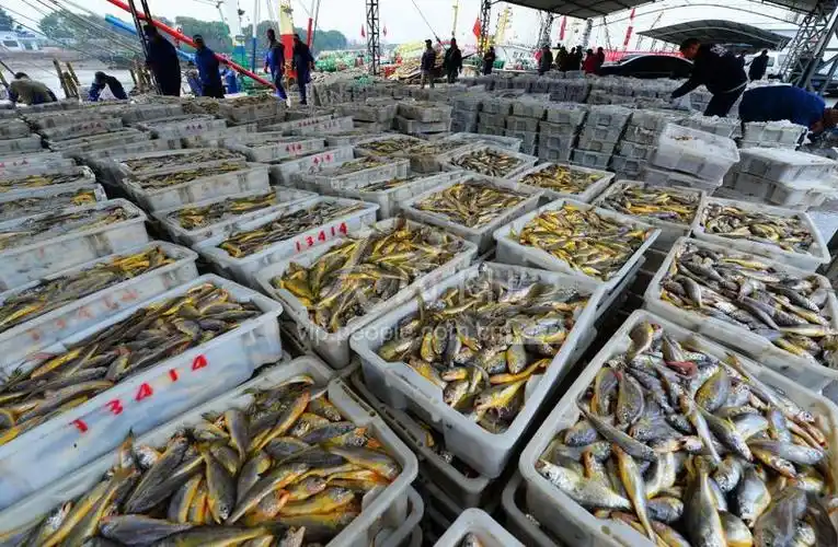 江苏太仓海产品丰富春节市场