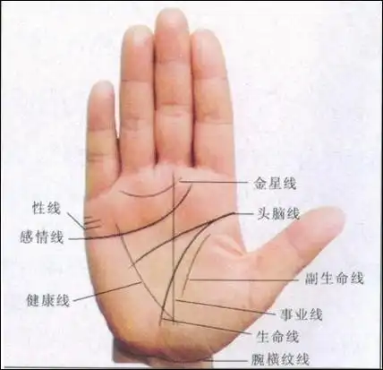 昆叔透露的癌症肿瘤穴位快速诊断法