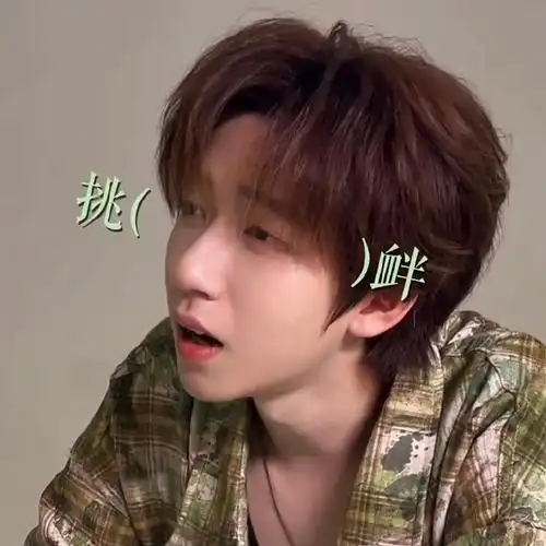 贺峻霖一个人就是一套表情包#贺峻霖咸甜粽子人格分裂