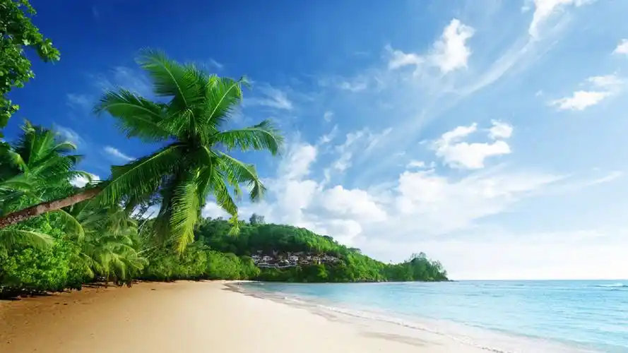 清爽唯美的海滩风景图片桌面壁纸高清大图预览1920x1080_风景壁纸下载