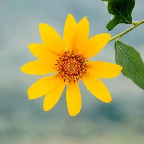 快手清晰风景头像倒流时光往返流年